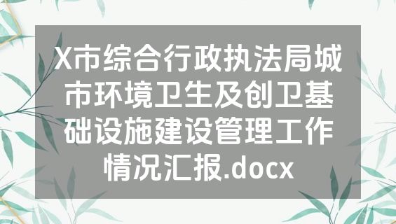 X市综合行政执法局城市环境卫生及创卫基础设施建设管理工作情况汇报.docx