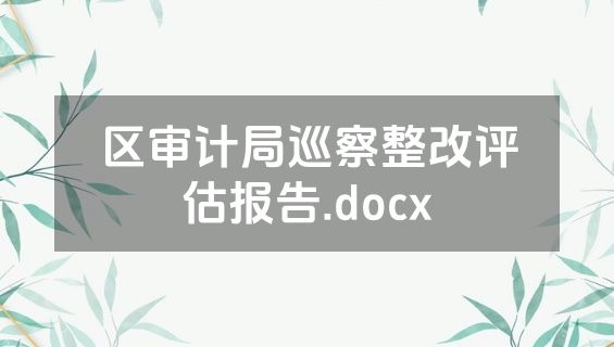 区审计局巡察整改评估报告.docx