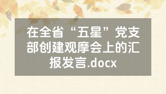 在全省“五星”党支部创建观摩会上的汇报发言.docx