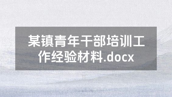 某镇青年干部培训工作经验材料.docx