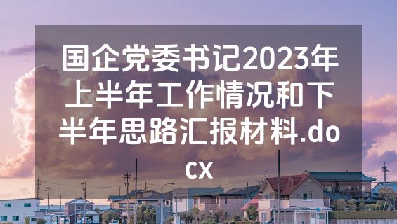 国企党委书记2023年上半年工作情况和下半年思路汇报材料.docx
