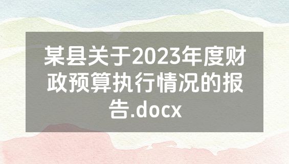 某县关于2023年度财政预算执行情况的报告.docx