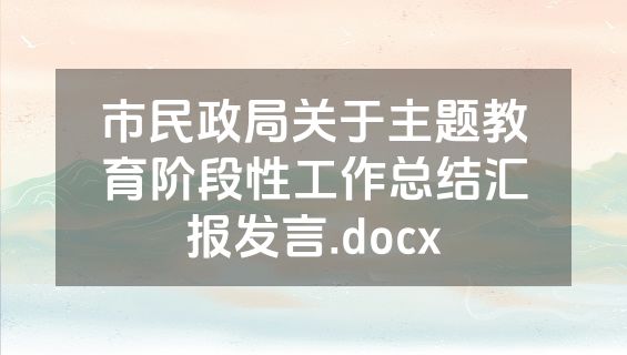 市民政局关于主题教育阶段性工作总结汇报发言.docx
