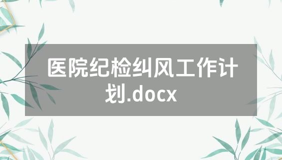 医院纪检纠风工作计划.docx