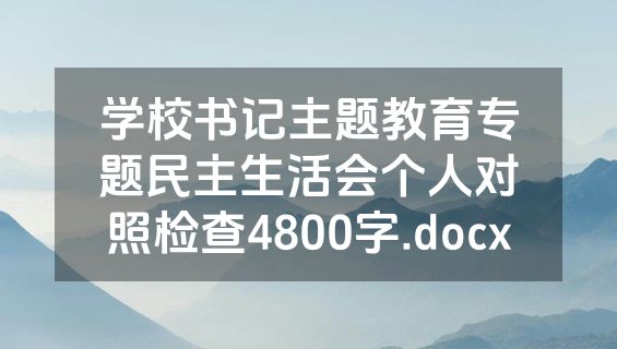 学校书记主题教育专题民主生活会个人对照检查4800字.docx