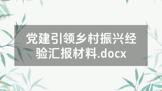 党建引领乡村振兴经验汇报材料.docx