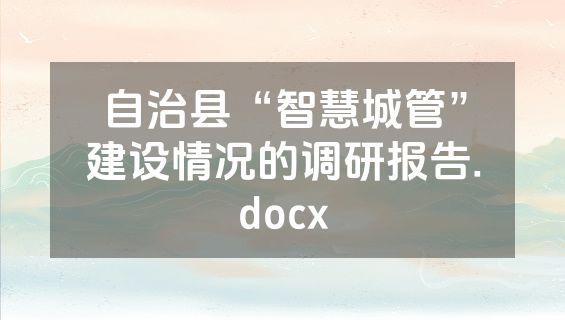 自治县“智慧城管”建设情况的调研报告.docx