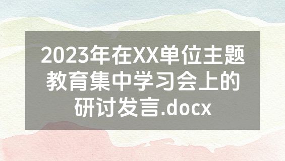 2023年在XX单位主题教育集中学习会上的研讨发言.docx