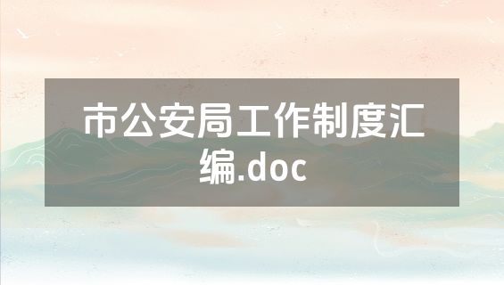 市公安局工作制度汇编.doc