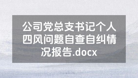 公司党总支书记个人四风问题自查自纠情况报告.docx