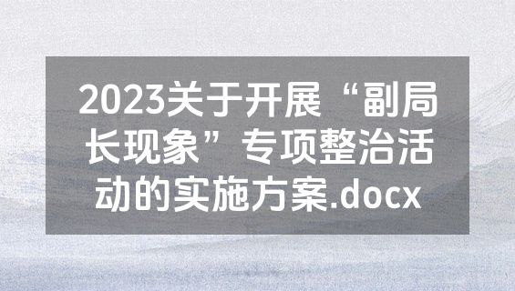 2023关于开展“副局长现象”专项整治活动的实施方案.docx