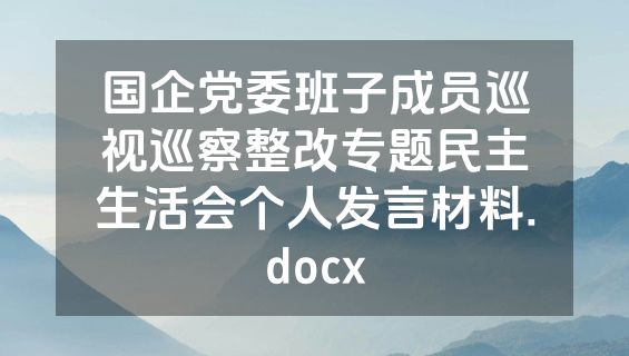 国企党委班子成员巡视巡察整改专题民主生活会个人发言材料.docx