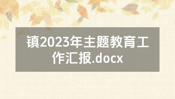 镇2023年主题教育工作汇报.docx