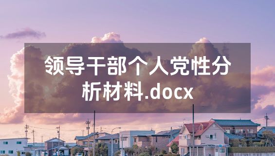领导干部个人党性分析材料.docx