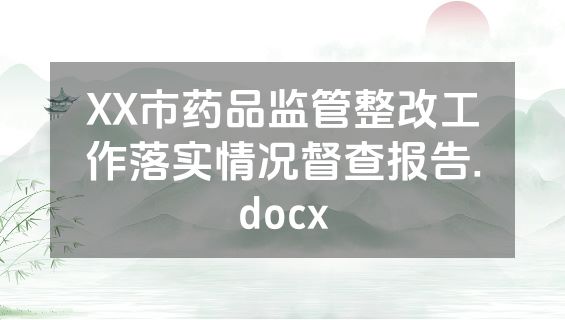 XX市药品监管整改工作落实情况督查报告.docx