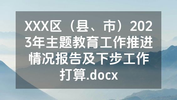 XXX区（县、市）2023年主题教育工作推进情况报告及下步工作打算.docx