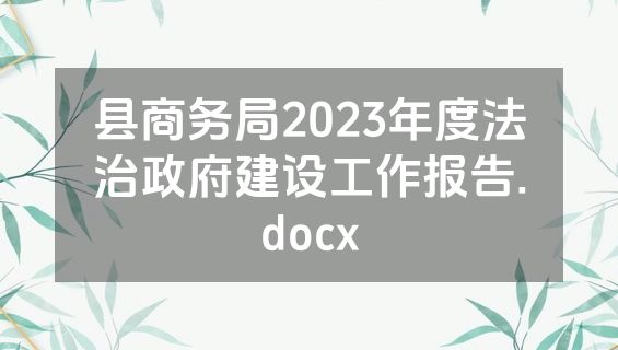 县商务局2023年度法治政府建设工作报告.docx