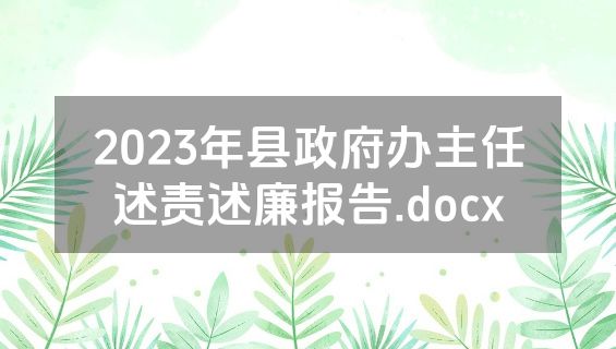 2023年县政府办主任述责述廉报告.docx