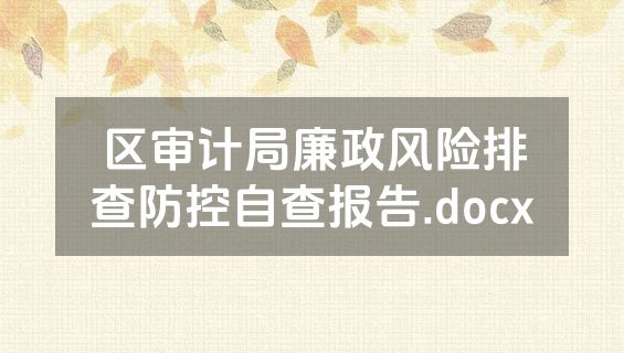 区审计局廉政风险排查防控自查报告.docx