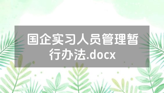 国企实习人员管理暂行办法.docx