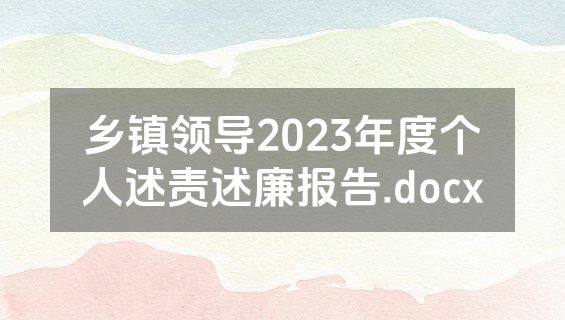 乡镇领导2023年度个人述责述廉报告.docx
