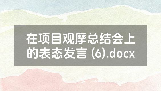 在项目观摩总结会上的表态发言 (6).docx
