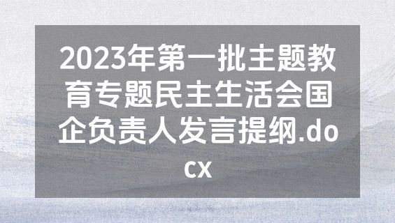 2023年第一批主题教育专题民主生活会国企负责人发言提纲.docx