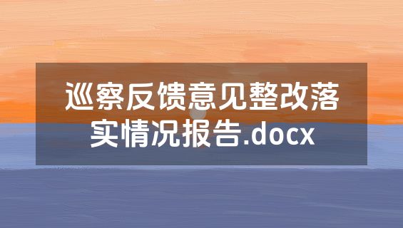 巡察反馈意见整改落实情况报告.docx