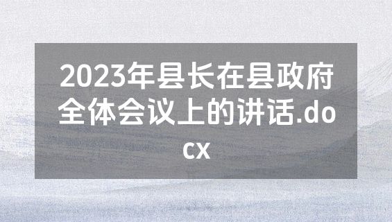 2023年县长在县政府全体会议上的讲话.docx