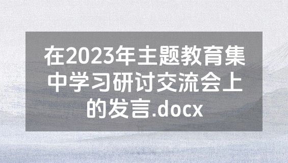 在2023年主题教育集中学习研讨交流会上的发言.docx