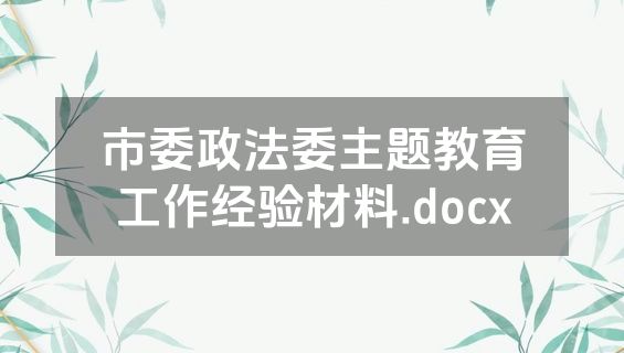 市委政法委主题教育工作经验材料.docx