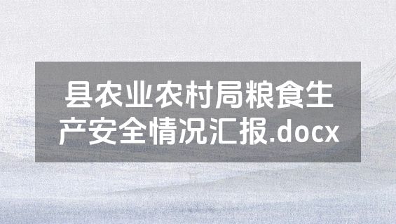 县农业农村局粮食生产安全情况汇报.docx