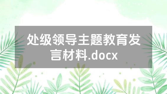 处级领导主题教育发言材料.docx