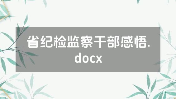 省纪检监察干部感悟.docx