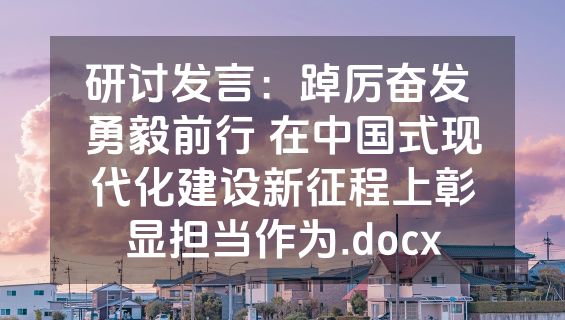 研讨发言：踔厉奋发 勇毅前行 在中国式现代化建设新征程上彰显担当作为.docx