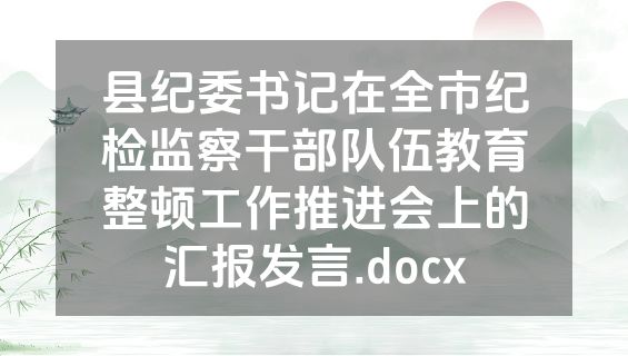 县纪委书记在全市纪检监察干部队伍教育整顿工作推进会上的汇报发言.docx