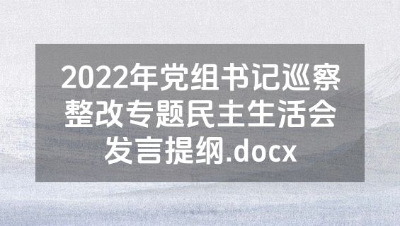 2022年党组书记巡察整改专题民主生活会发言提纲.docx
