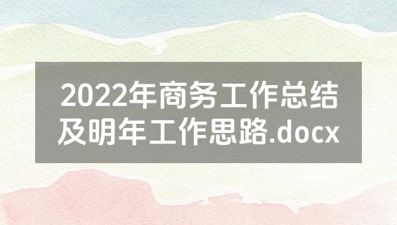 2022年商务工作总结及明年工作思路.docx