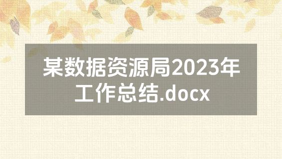 某数据资源局2023年工作总结.docx