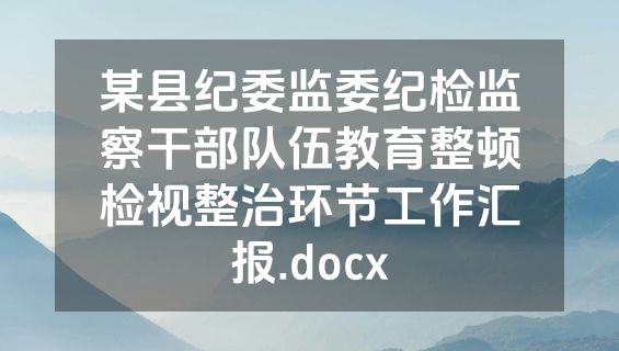 某县纪委监委纪检监察干部队伍教育整顿检视整治环节工作汇报.docx