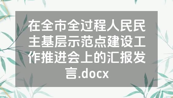 在全市全过程人民民主基层示范点建设工作推进会上的汇报发言.docx