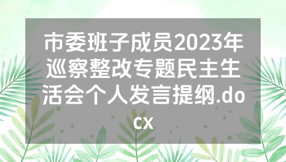 市委班子成员2023年巡察整改专题民主生活会个人发言提纲.docx