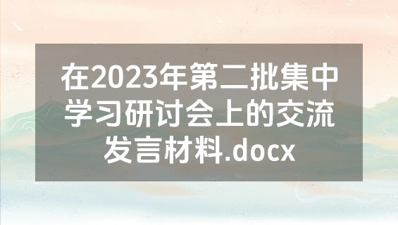 在2023年第二批集中学习研讨会上的交流发言材料.docx