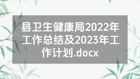县卫生健康局2022年工作总结及2023年工作计划.docx
