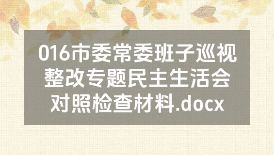016市委常委班子巡视整改专题民主生活会对照检查材料.docx