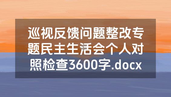 巡视反馈问题整改专题民主生活会个人对照检查3600字.docx