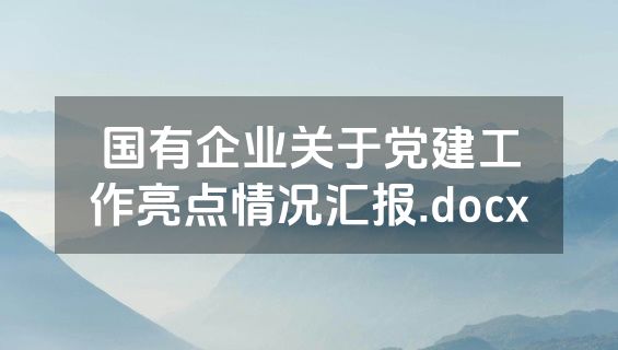 国有企业关于党建工作亮点情况汇报.docx