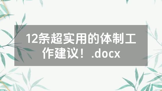 12条超实用的体制工作建议！.docx