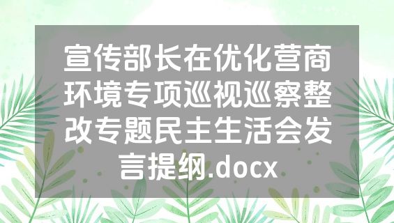 宣传部长在优化营商环境专项巡视巡察整改专题民主生活会发言提纲.docx