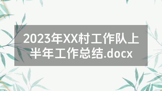 2023年XX村工作队上半年工作总结.docx